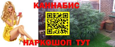 apvp Будённовск