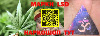 apvp Будённовск