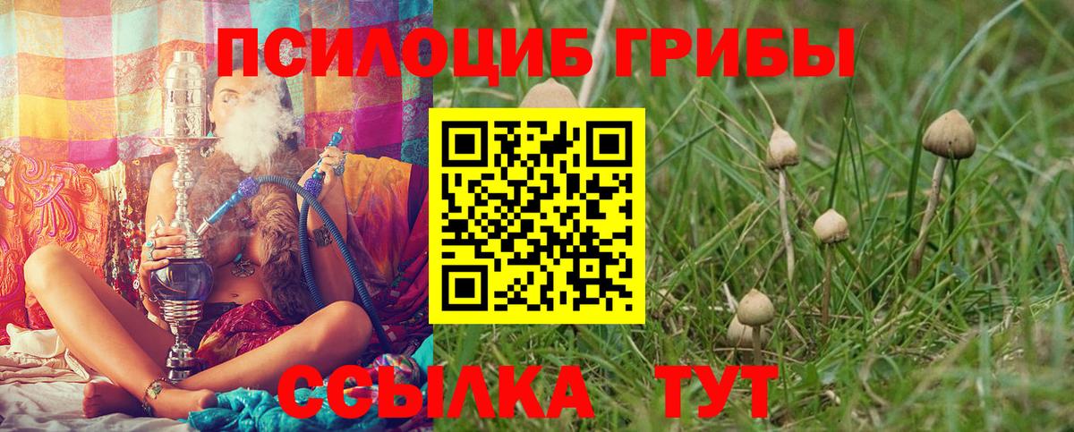 Галлюциногенные грибы мухоморы Сегежа