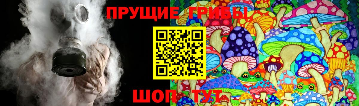 Сегежа  Галлюциногенные грибы ЛСД  даркнет сайт  Вход с VPN 